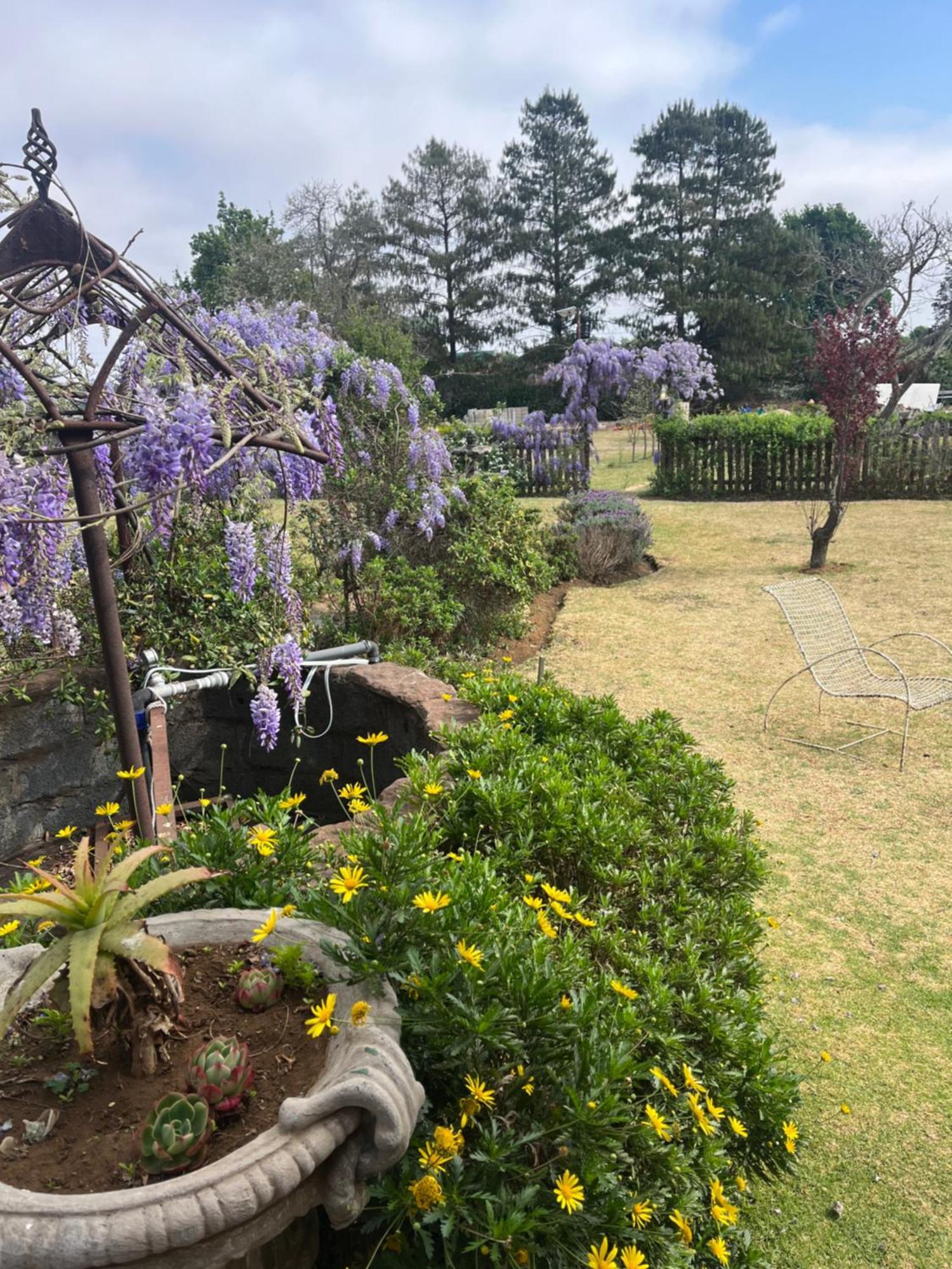 贝尔法斯特Apple And Rose住宿加早餐旅馆 外观 照片